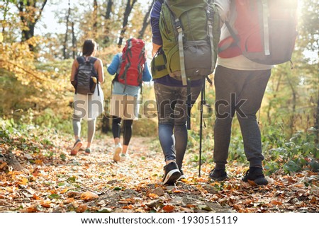 Hikers at autumn hiking in nature, back view