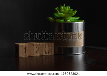 Feb 12st. Image of Feb 12 wooden cube calendar and an artificial plant on a brown wooden table reflection and black background. with empty space for text
