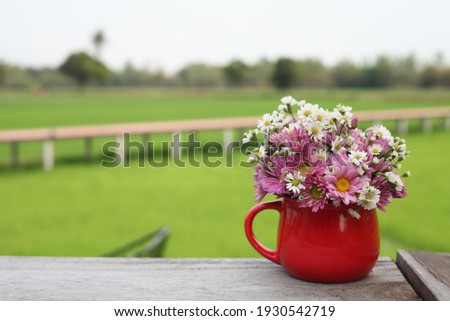 Colorful flowers in red pots