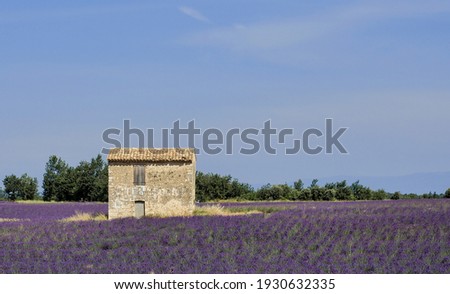 A nice picture of the Provence, France , an intresting photo