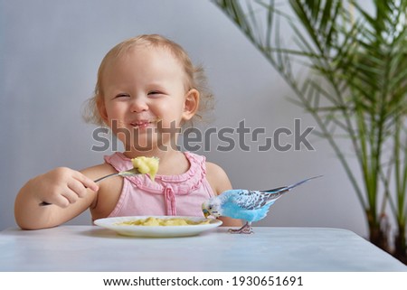 A little girl with a blue Budgerigar (domestic budgie) parrot is eating from the same plate. The concept of friendship and caring for pets. Royalty-Free Stock Photo #1930651691