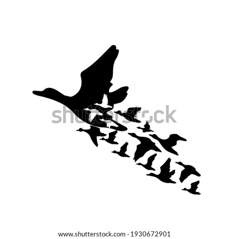 A ducks flying south. Bringing ducks home. Vector illustration