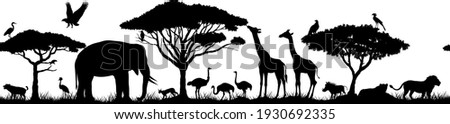 Vector horizontal seamless tropical african savannah with lions, elephant, girrafe, vulture, heron, hyena, common warthog,  common warthog, grey parrot, African ostrich and crowned crane