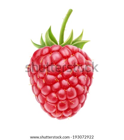 Isolated berry. One fresh raspberry fruit isolated on white background Royalty-Free Stock Photo #193072922