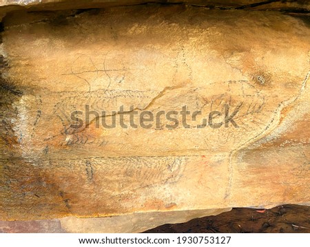 Australian Aboriginal Artwork in a cave