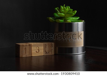 February 13. Image of the February 13 calendar of wooden cubes and an artificial plant on a brown wooden table reflection and black background. with empty space for text