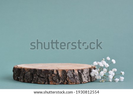 Selective focus.A minimalistic scene of a felled tree lies with flowers on a natural background. Catwalk for the presentation of products and cosmetics. Showcase with a stage for natural products. 