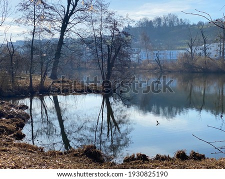 Lake Au (Ausee) on the Au Peninsula in Lake Zurich (Zürichsee oder Zuerichsee), Wädenswil (Waedenswil) - Canton of Zürich (Zuerich), Switzerland (Schweiz)