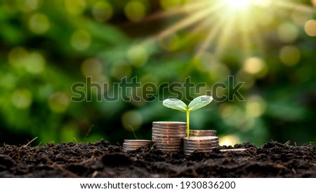 A seedling growing on a pile of coins has a natural backdrop, blurry green, money-saving ideas and economic growth. Royalty-Free Stock Photo #1930836200