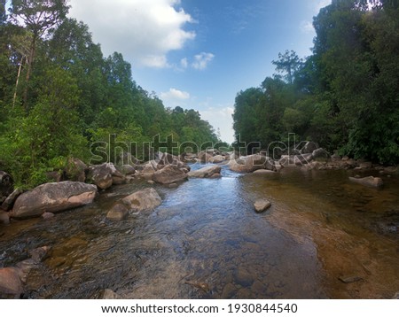 The view of a stream in the forest at Berkelah Waterfall, Pahang, Malaysia.