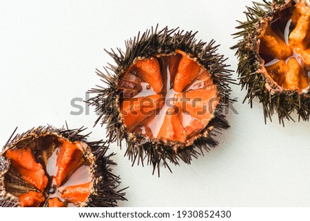 Fresh sea urchins (ricci di mare) or uni on the white, close-up, macro. Delicious seafood from southern Italy (Sicily, Puglia) and Spain, rich in iodine, vitamins,gomarin, carnitine and dopamine Royalty-Free Stock Photo #1930852430