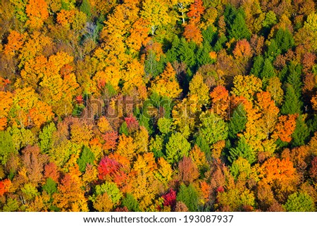 Aerial view of fall foliage, Stowe, Vermont, USA Royalty-Free Stock Photo #193087937