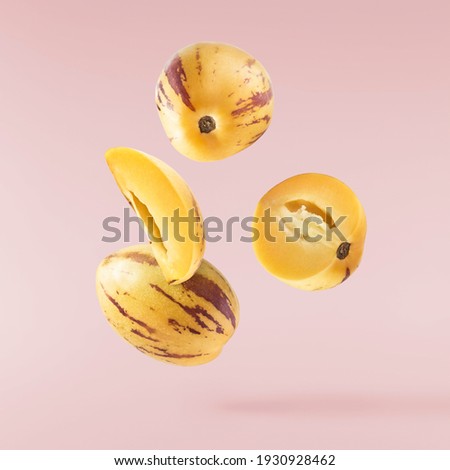 Fresh raw pepino dulce or sweet cucumber falling in the air isolated on pink background. Food levitation concept. High resolution image