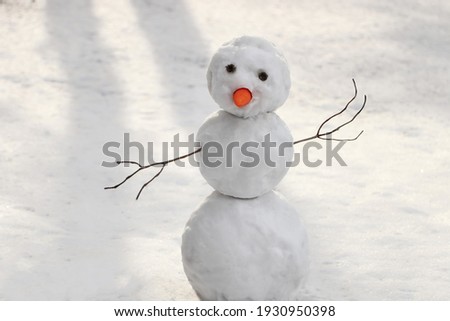 Funny snowman with carrot nose outdoors on winter day