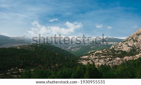 Mountains valley with a meadow and many trees