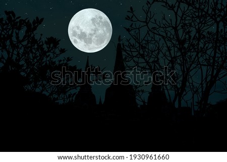 Full moon with pagoda and tree silhouette  in the dark night.