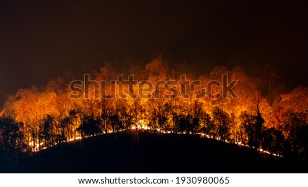A forest fire on the mountain at night Causing toxic dust