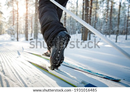 Winter sport in Finland - cross-country skiing. Woman skiing in sunny winter forest covered with snow. Active people outdoors. Scenic peaceful Finnish landscape. close-up skiing