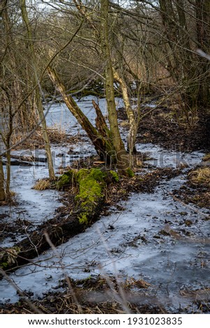 A winter photo of an icy water pond in a forest. Picture from Lund, southern Sweden