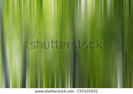 abstract forest in motion blur