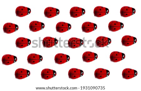 Ladybugs parallel on white background