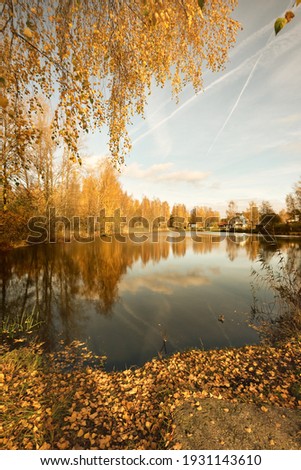 A small river and deciduous trees with colorful green, yellow, orange, golden leaves. Sunbeams through the branches. Blue sky, Autumn, seasons, environment, ecology, nature, protected area. Germany