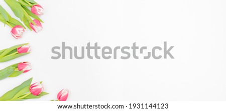 Flat lay composition with pink tulips on white background