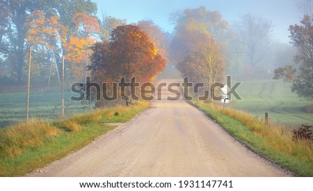 An old country road through the golden trees and fields to the forest. Electricity line, street sign close-up. Autumn rural scene. Transportation, agriculture, farm, road trip, tourism