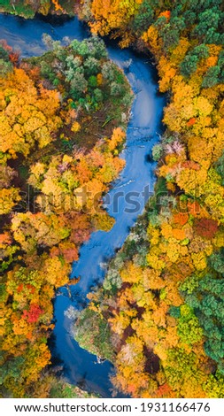 Aerial view of nature in Poland. River and colorful autumn forest. Vibrant color Royalty-Free Stock Photo #1931166476
