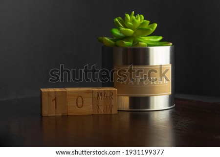 March 10. Image of the March 10 calendar of wooden cubes and an artificial plant on a brown wooden table reflection and black background. with empty space for text