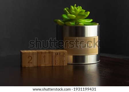 March 21. Image of the March 21 calendar of wooden cubes and an artificial plant on a brown wooden table reflection and black background. with empty space for text