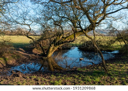 a close up view of a small pond at the bottom of a large open field