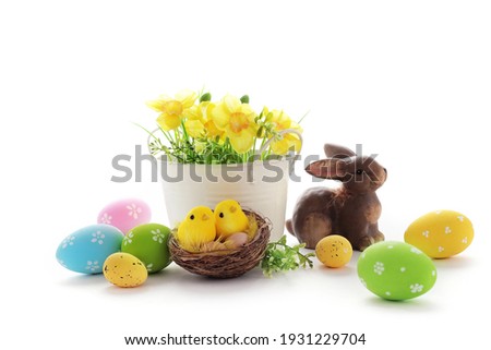 colorful easter eggs and spring flowers isolated on white background, copy space for texrt
