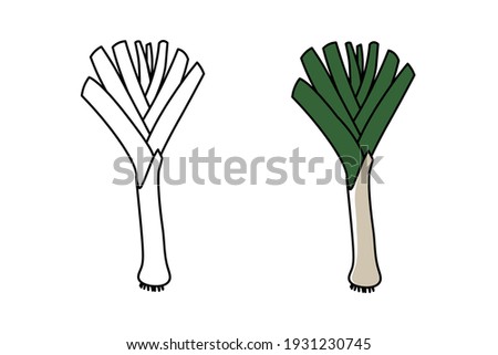 Leek vector icon. Leek for coloring book. Natural food for healthy nutrition isolated on white background. Royalty-Free Stock Photo #1931230745