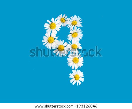 number 9  in daisies