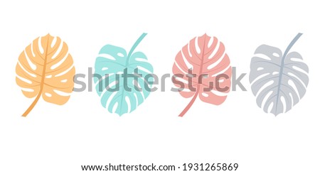 Tropical leaf of Monstera or palm plant isolated on white background. Vector illustration