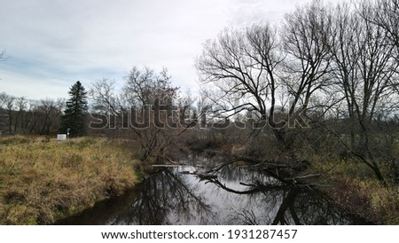 Small stream in the countryside