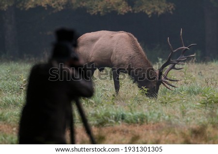 A photographer taking a picture of an animal 