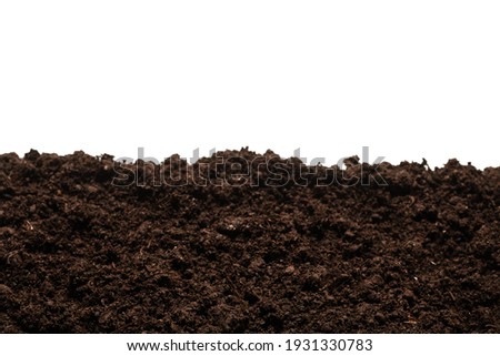 Black land for plant isolated on white background.  Royalty-Free Stock Photo #1931330783