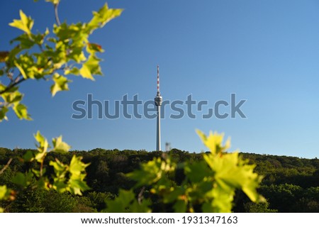 Autumnal view of the Stuttgart TV tower under a cloudy sky. The TV tower is surrounded by forest. Some colorful leaves are framing this picture.