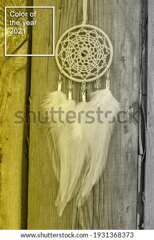Dream catcher with feathers threads and beads rope hanging. Dreamcatcher handmade. Color of the year 2021