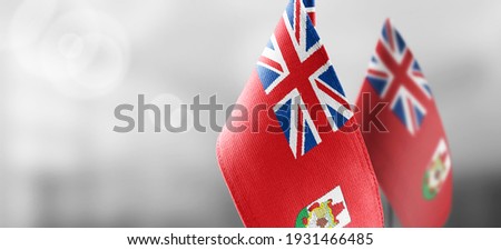 Patch of the national flag of the Bermuda on a white t-shirt