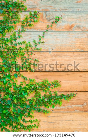 Grass over wood plank texture background