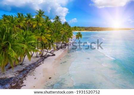 Beautiful caribbean beach on Saona island, Dominican Republic. Aerial view of tropical idyllic summer landscape with green palm trees, sea coast and white sand Royalty-Free Stock Photo #1931520752