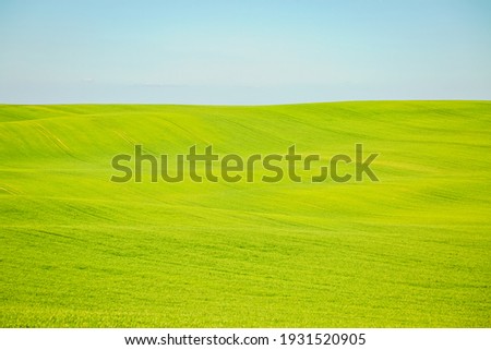 Picturesque wavy fields in agricultural area on a sunny day. Location place South Moravia region, Czech Republic, Europe. Artistic wallpaper. Abstract natural pattern. Discover the beauty of earth.
