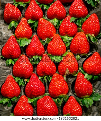 Fresh red ripe organic strawberries close up on vegetables market. Organic food concept. 