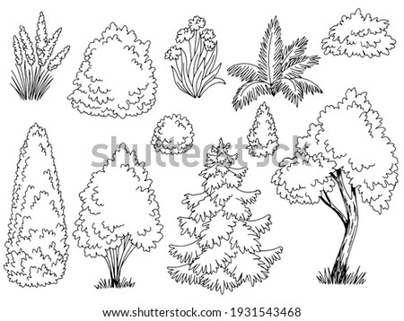 Plant set graphic garden bush black white side view isolated illustration vector  Royalty-Free Stock Photo #1931543468