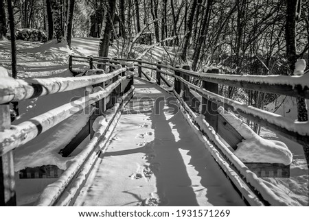 Snow Covered Walking Bridge in Winter in Latvia