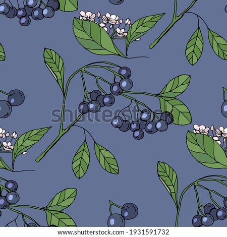 Seamless pattern with blue berries. Endless texture for your design.