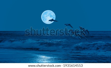 Night sky with new moon in the clouds - Group of dolphins jumping out of the water "Elements of this image furnished by NASA